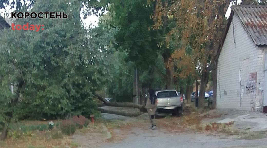 В районі броварського пляжу та на Шевченка в Коростені негода поламала дерева (ВІДЕО)