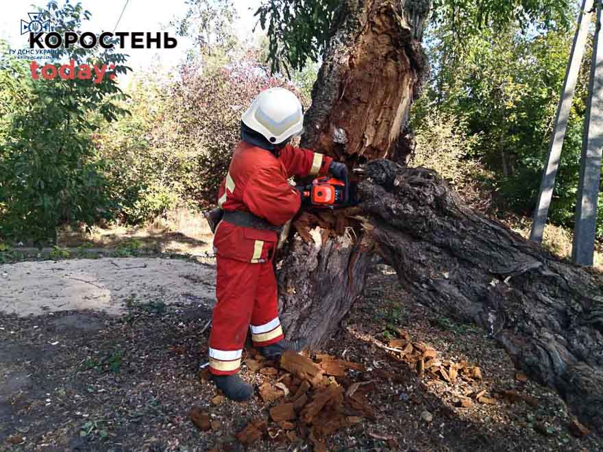 У Лугинах через сильний вітер на дах будинку впала велика береза