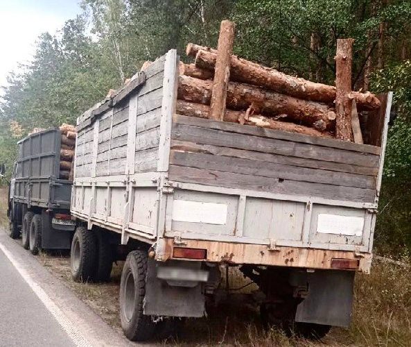 На Овруччині поліцейські зупинили КамАЗ: водій перевозив колоди сосни без документів