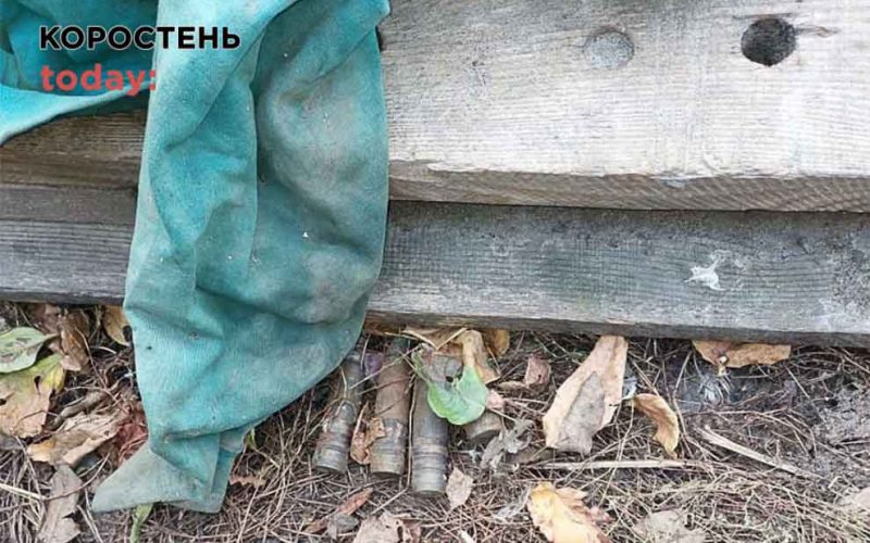 Житель одного з сіл Коростенщині знайшов у лісовому масиві снаряди та вирішив здати на металолом
