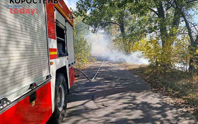 Через суху погоду та сильний вітер горів сухостій та молоді дерева на території Лугинської громади