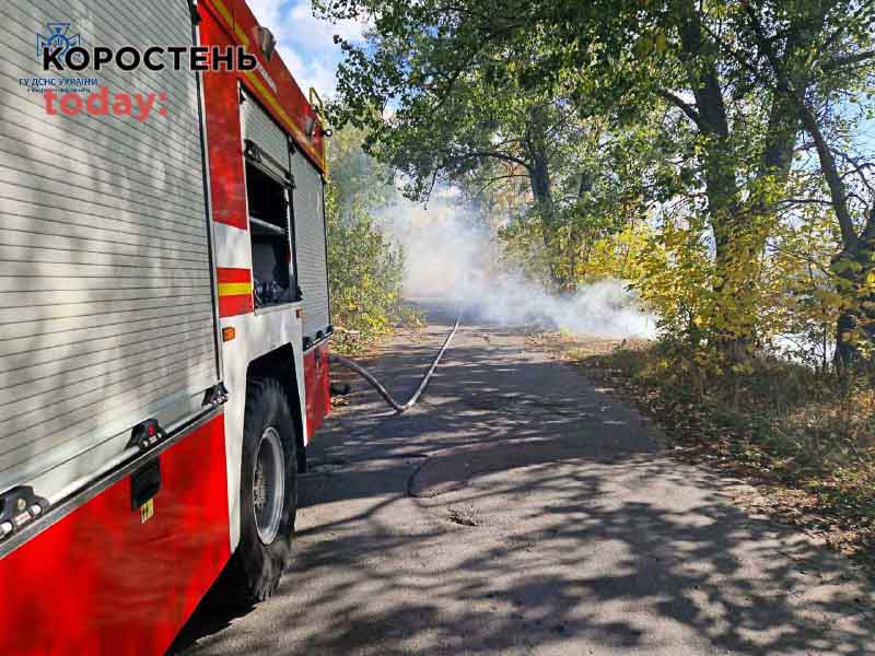 Через суху погоду та сильний вітер горів сухостій та молоді дерева на території Лугинської громади