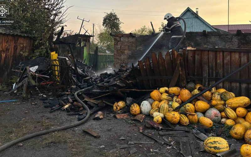 Через спалювання сухої трави у селі Коростенського району загорілась господарча будівля