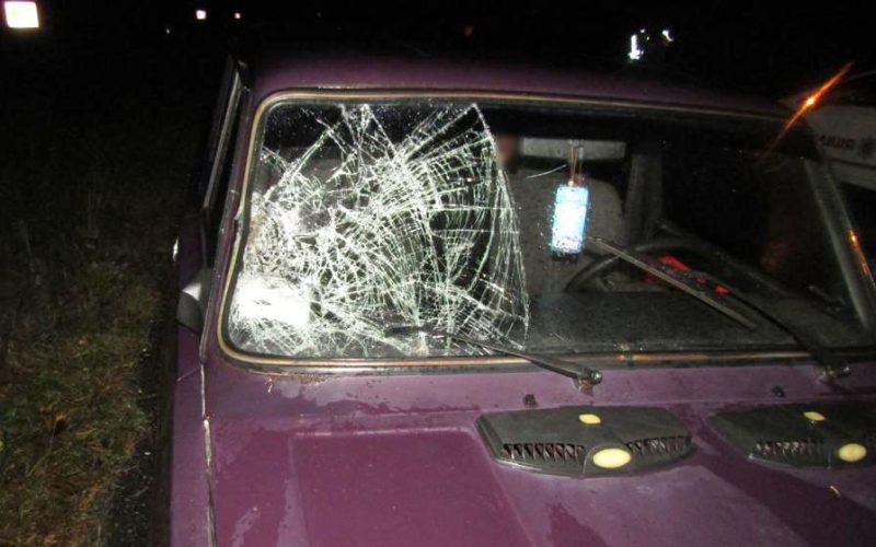 На Овруччині під колеса ВАЗівки потрапив 22-річний хлопець: потерпілого госпіталізували