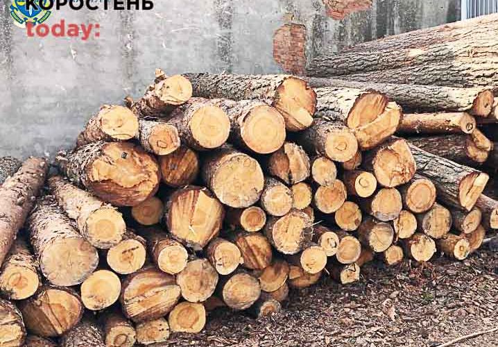 На Житомирщині викрили “бізнесменів”, які незаконно вивезли за кордон майже 2 тис. кубів лісу