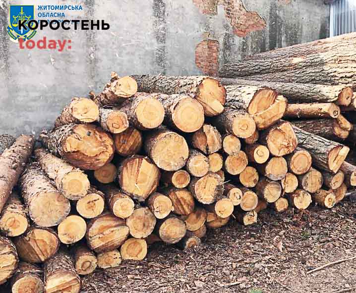 На Житомирщині викрили “бізнесменів”, які незаконно вивезли за кордон майже 2 тис. кубів лісу