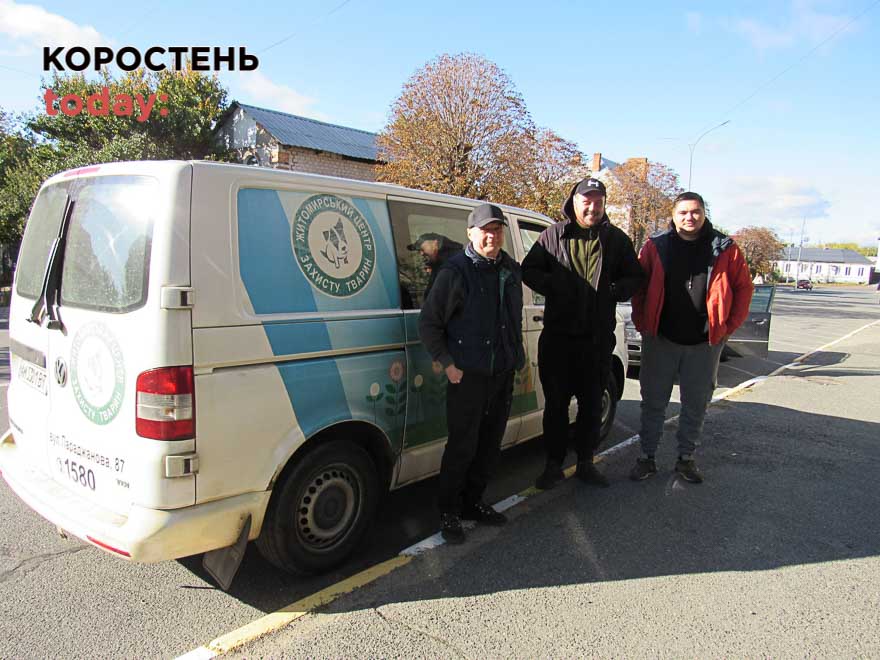У Малині відловлюють вуличних собак та стерилізують (ФОТО)