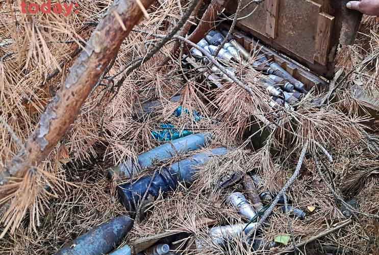Грибар виявив склад боєприпасів у лісі на Житомирщині (ФОТО)