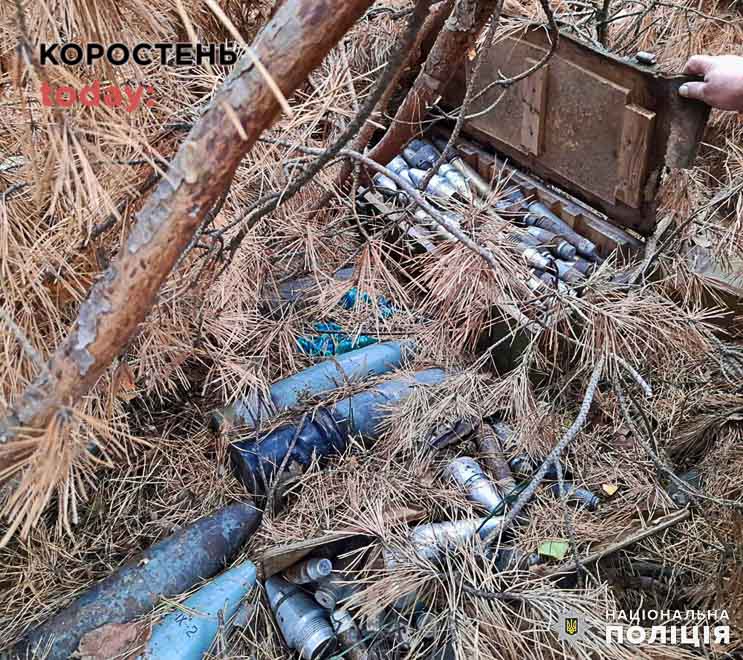 Грибар виявив склад боєприпасів у лісі на Житомирщині (ФОТО)