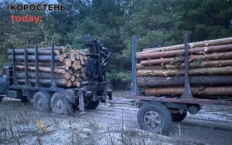 На Житомирщині прикордонники зупинили машину, яка перевозила 18 кубометрів незаконного лісу-кругляку