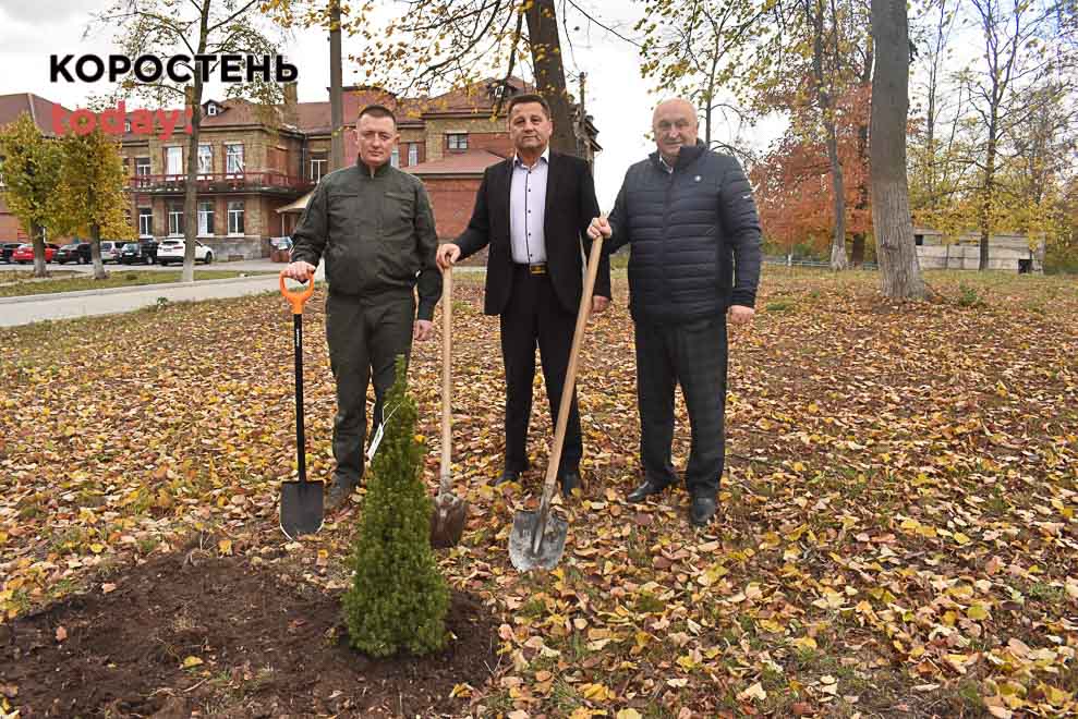 Мер Коростеня садив дерева біля міськради та лікарні