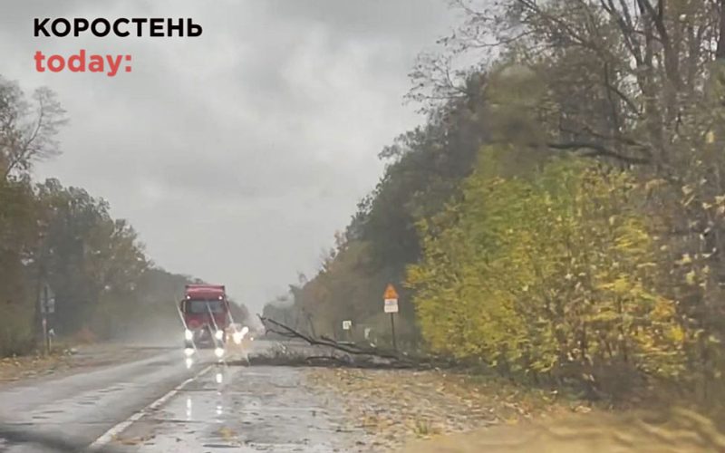 В області аварійні відключення світла, а у Коростені дерево впало на дорогу
