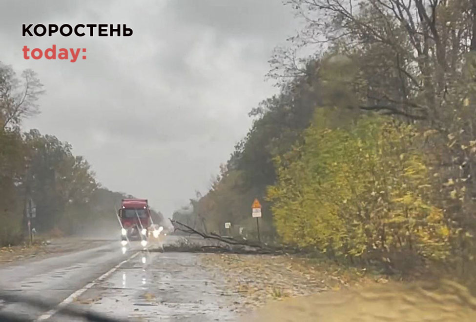 В області аварійні відключення світла, а у Коростені дерево впало на дорогу