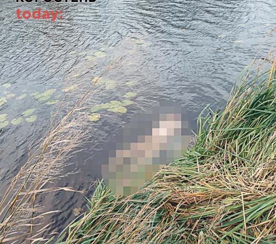 У Коростені взяли під варту чоловіка, який розчленував свого колишнього зятя