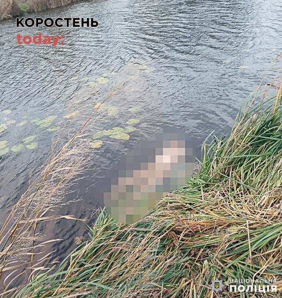 У Коростені взяли під варту чоловіка, який розчленував свого колишнього зятя
