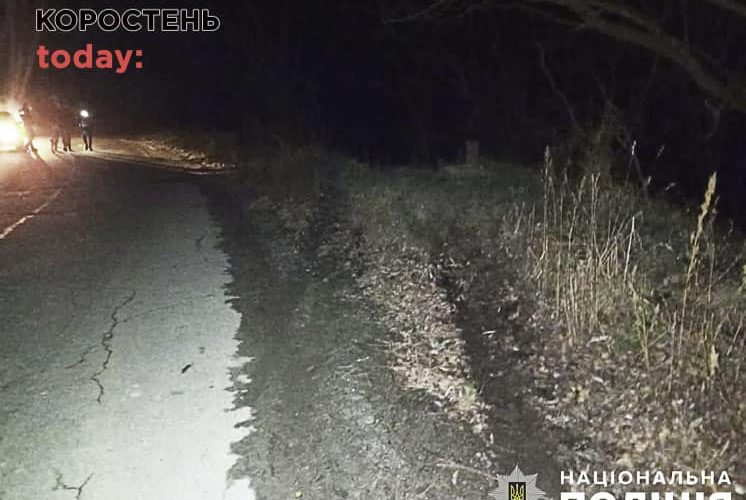 На Житомирщині у ДТП загинули дві жінки, діти в лікарні