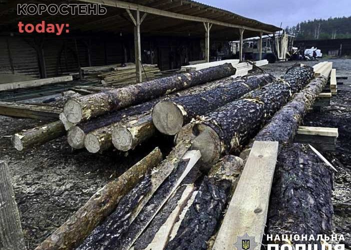 Поліція на Малинщині виявила понад 500 колод дерев без документів