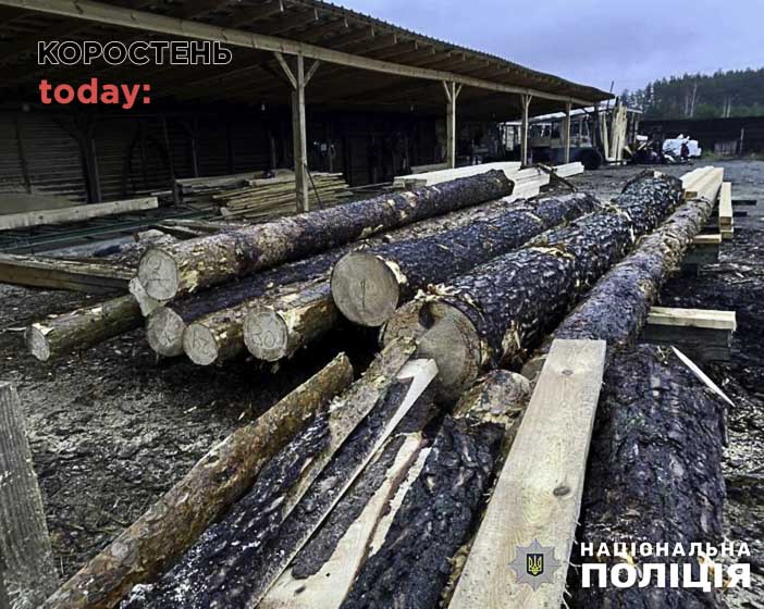 Поліція на Малинщині виявила понад 500 колод дерев без документів