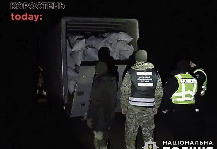 Житель Народицької громади, який перевозив соснову кору із зони відчуження, може сісти до тюрми на 5 років