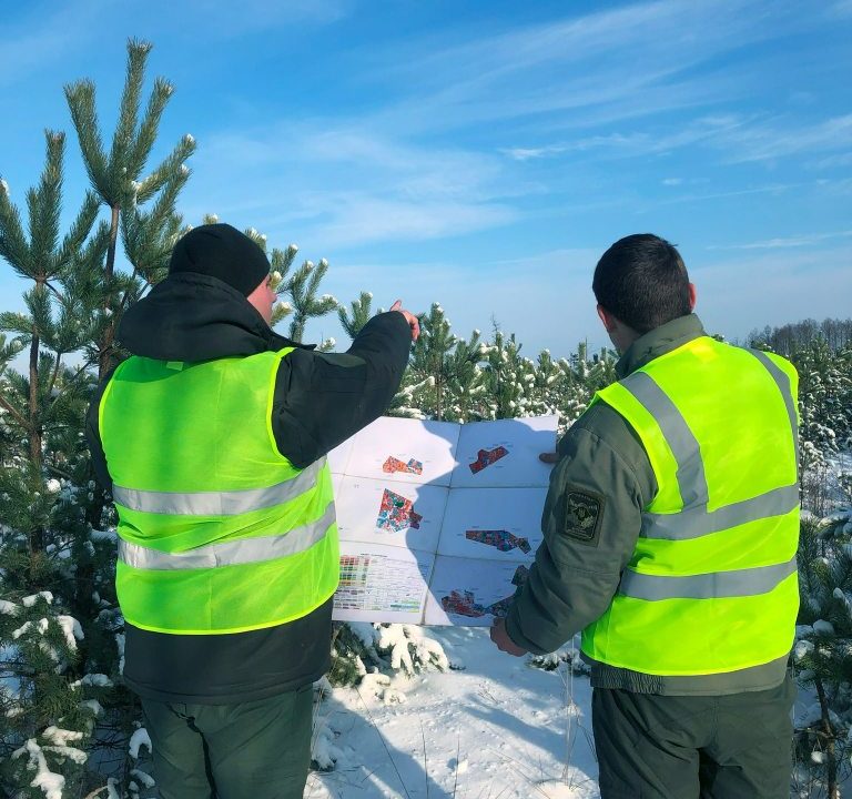 На території Коростенського лісомисливського господарства затримали браконьєрів, які незаконно заготовляли новорічні дерева
