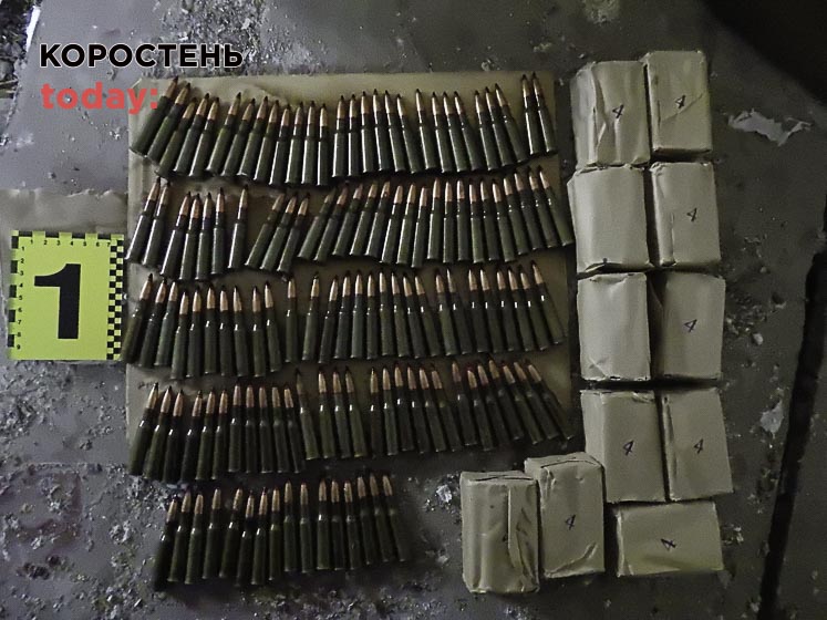У межах зони відчуження на Житомирщині в покинутому будинку знайшли ящик з майже 900 патронами