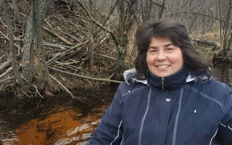 Зимував у жінки 8 років: лебедя з Овруччини передали в Поліський заповідник
