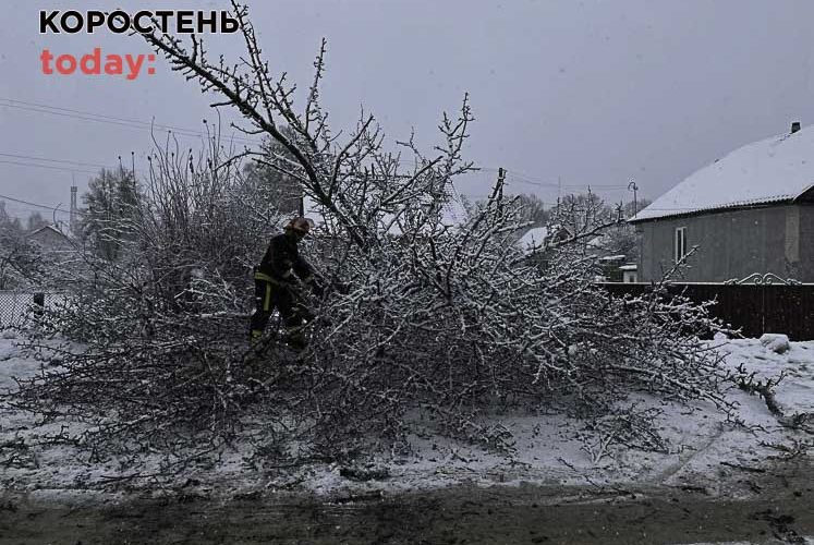 В Олевську рятувальники прибирали з дороги повалене дерево