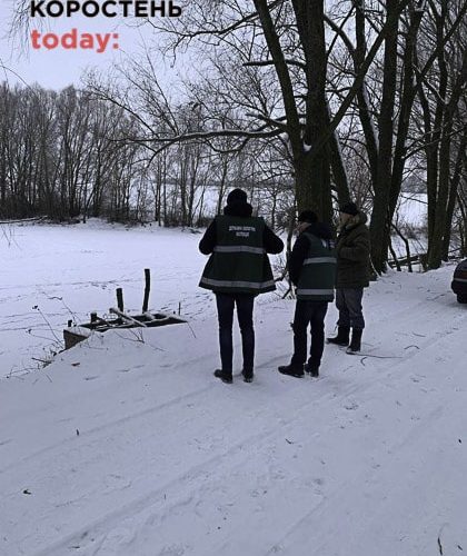На Житомирщині за нелегальну заготівлю новорічних дерев склали майже 20 протоколів