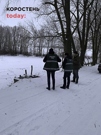 На Житомирщині за нелегальну заготівлю новорічних дерев склали майже 20 протоколів