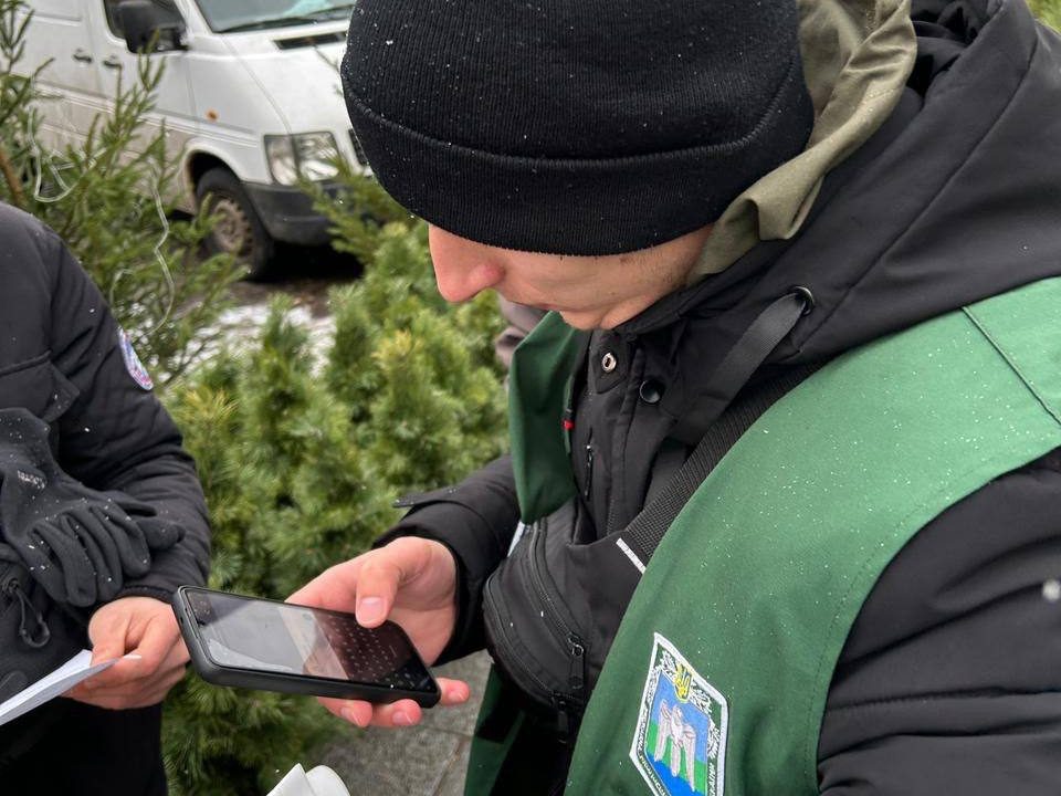 На Житомирщині склали понад два десятки протоколів за нелегальну заготівлю ялинок