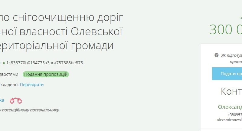 В Олевську за послугу з очищення снігу міськрада готова заплатити 300 тис. грн