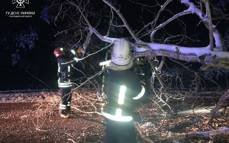 Скільки на Житомирщині з початку року сталося пожеж та загинуло людей
