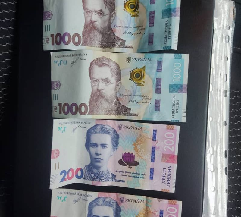 На Олевщині п’яна водійка Toyota пропонувала поліцейським відкупне