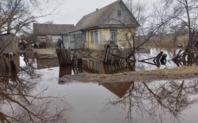 У Коростені рятувальники відкачували воду з підвалів, а на Олевщині – біля приватного будинку
