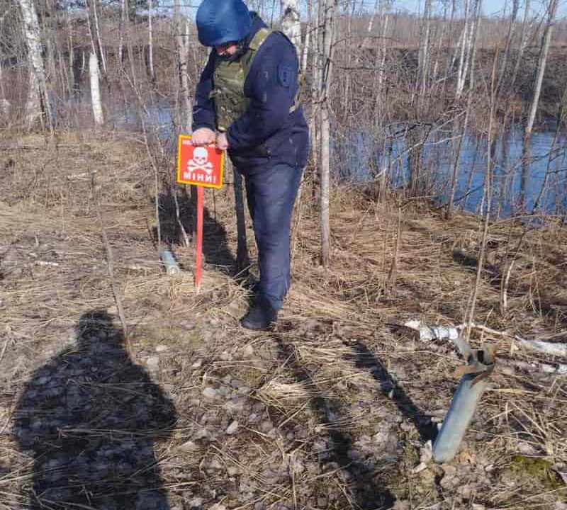 На території одного з сіл Народицької громади проведено ідентифікацію залишків боєприпасів