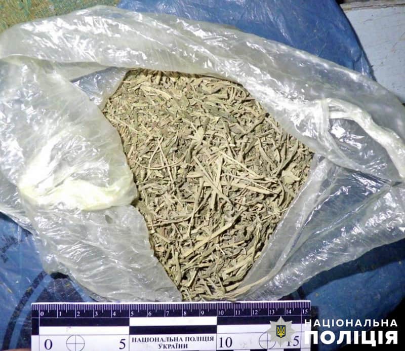 За добу правоохоронці знайшли наркотики у двох коростенців, малинчанина та жителя Овруччини