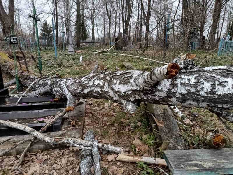 На території Народицької громади буревій поламав дерева, які понівечили могили на цвинтарі