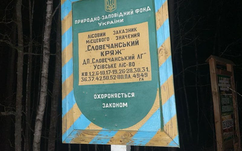 На Овруччині екологи виявили незаконну порубку дерев, сума збитків майже 2 млн. грн