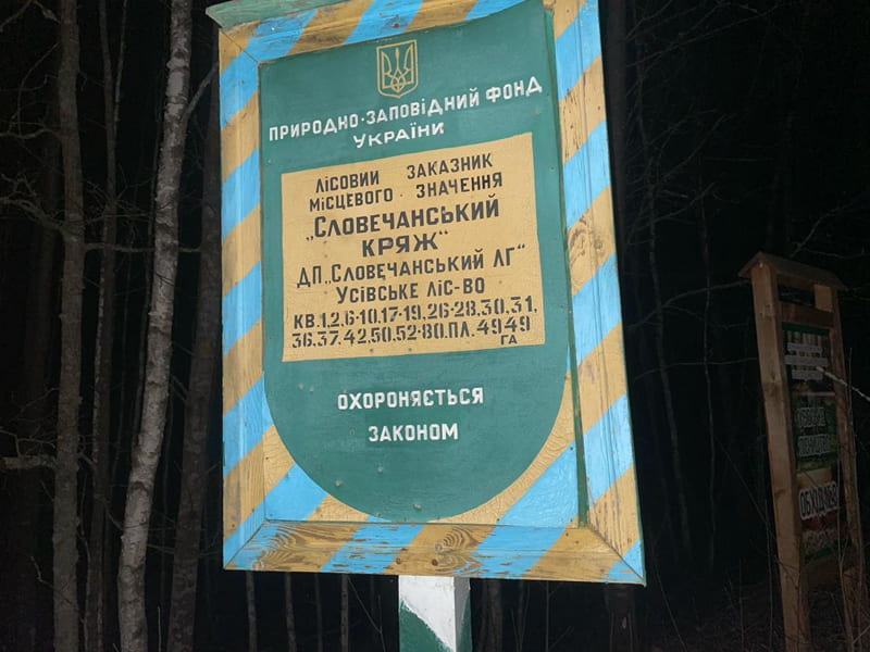 На Овруччині екологи виявили незаконну порубку дерев, сума збитків майже 2 млн. грн