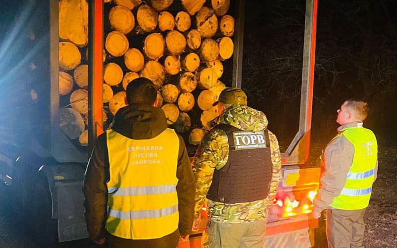 На Коростенщині прикордонники зупинили дві вантажівки, які незаконно перевозили лісодеревину