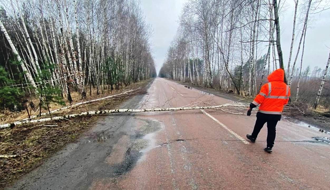 У Житомирській області на дорогах держзначення шляховики латають ями та прибирають