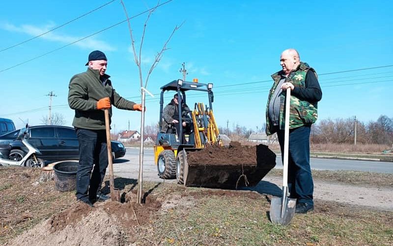 У Малині стартувала весняна толока: рідні загиблих Героїв допомогли висаджувати липи