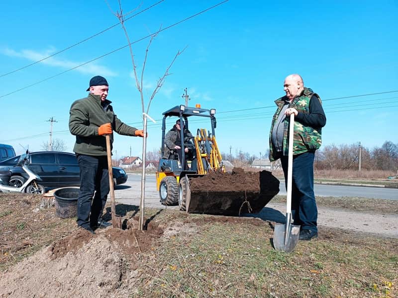 У Малині стартувала весняна толока: рідні загиблих Героїв допомогли висаджувати липи