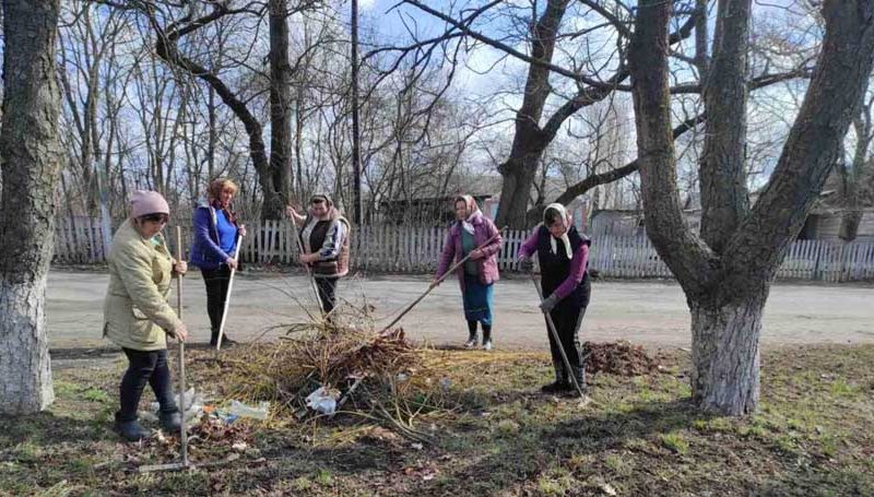 Місячник благоустрою: у Малині показали, як прибирають місто