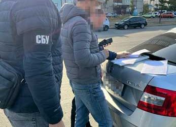 СБУ викрила бізнесмена, який скуповував незаконно зрубану сосну: деревину обробляли на пилорамах Коростенщини та продавали за кордон