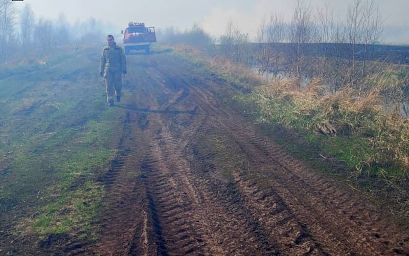 У Коростенському районі рятувальники загасили масштабну пожежу поблизу села Миролюбів