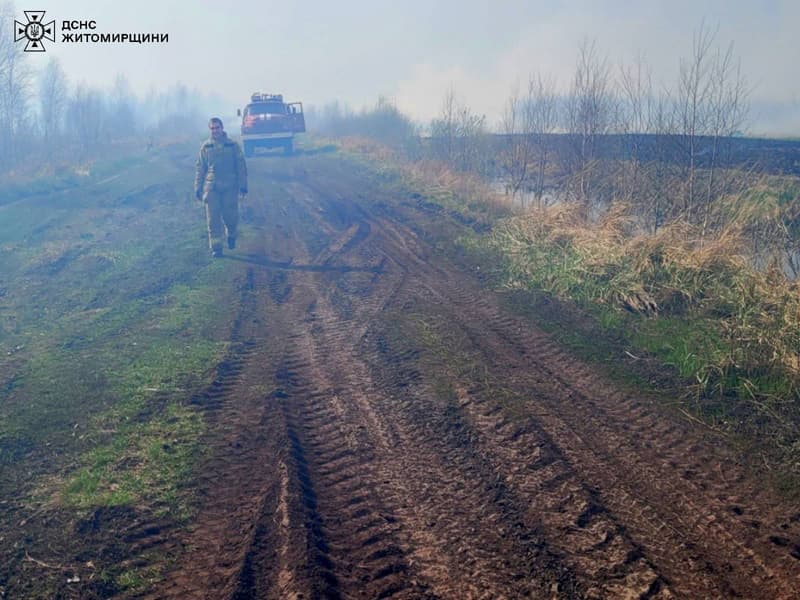 У Коростенському районі рятувальники загасили масштабну пожежу поблизу села Миролюбів