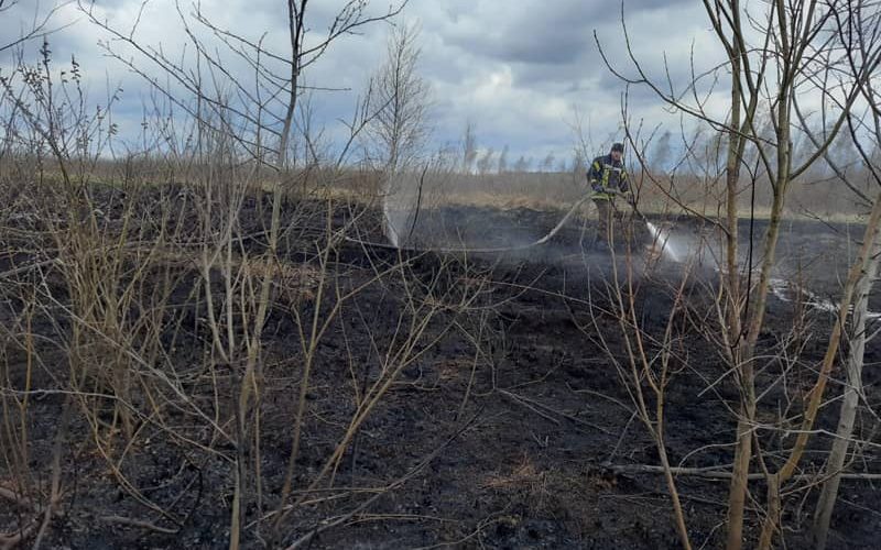 У Коростенському районі рятувальники борються з пожежами в екосистемах: відбили полум’я від будинків, гасять торф