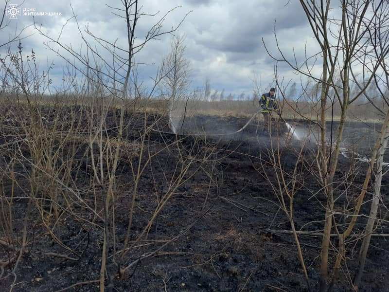 У Коростенському районі рятувальники борються з пожежами в екосистемах: відбили полум’я від будинків, гасять торф