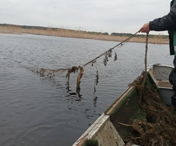 На Житомирщині вже зареєстрували більше 10 порушників весняно-літньої заборони вилову риби